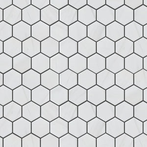 TPMG-24 2 x 2 Hexagon White Carrara Porcelain Mosaic Tile Sheet (Satin)