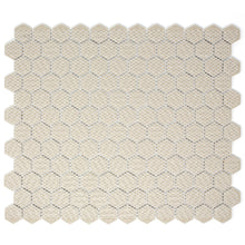 TPMG-02 White 1" Penny Hexagon Porcelain Mosaic Tile (Matt)
