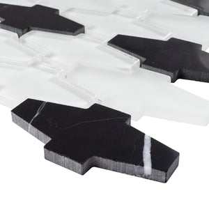 TCDNG-03 Irregular Shape Glass and Stone Mosaic Tile in Black/White