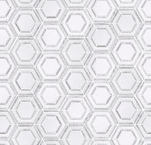 TINTG-01 White and Grey 6" Hexagon Marble Mosaic Tile