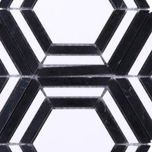 TINTG-02 Black and White 6" Hexagon Marble Mosaic Tile