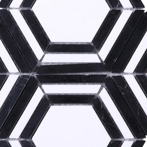 TINTG-02 Black and White 6" Hexagon Marble Mosaic Tile