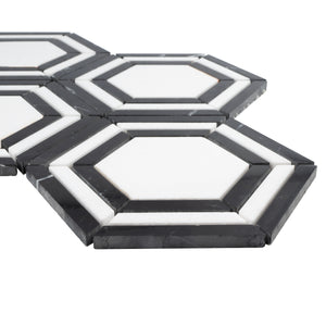 TINTG-02 Black and White 6" Hexagon Marble Mosaic Tile
