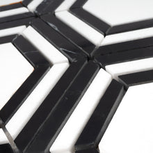 TINTG-02 Black and White 6" Hexagon Marble Mosaic Tile