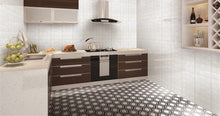 TINTG-02 Black and White 6" Hexagon Marble Mosaic Tile