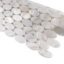 TMPSG-03 Mother of Pearl 1" x 1" Oval Seashell Tile in White