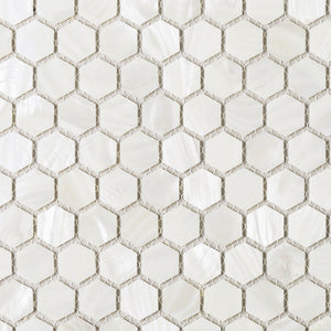 TMPSG-04 Mother of Pearl 1" x 1" Hexagon Seashell Tile in White